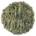 Sencha Grade 1 (Organic)
