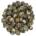 Buddhas Tears (Jasmine Dragon Pheonix Pearls)