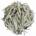 Jun Shan Silver Needles (Grade 1)