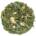 Ginger (Green Tea)