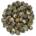 Downy Pearls (Jasmine Dragon Phoenix Pearls Small)