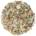 Echinacea Root