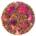 Rooibos Raspberry